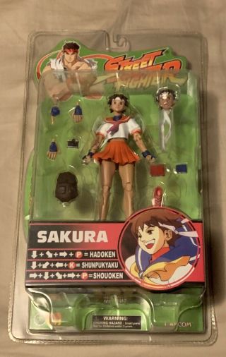 Street Fighter Sota Sakura
