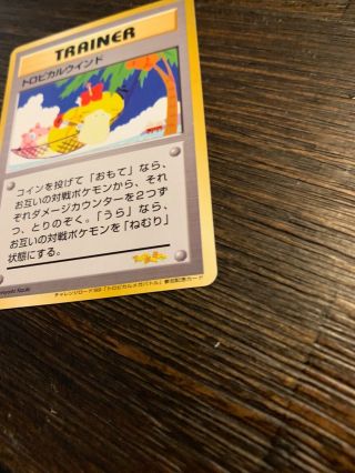 Pokemon 1999 Tropical Wind TMB - Tropical Mega Battle Trophy Card Japanese Promo 4