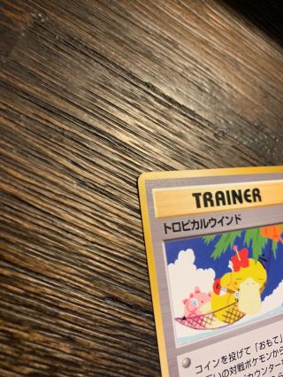Pokemon 1999 Tropical Wind TMB - Tropical Mega Battle Trophy Card Japanese Promo 8