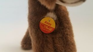 Steiff Donkey Assy 1510/14 With Ear Tag And Tag Attached to Neck 7