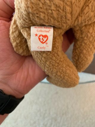 Ty Beanie Babies - Curly - Retired / Rare - Multiple Errors 1993 MWMT Baby 3