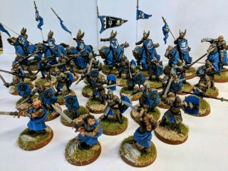 Lord Of The Rings Games Workshop Painted Gondor Dol Amroth Army