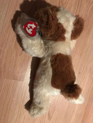 Ty Classic Baby Patches Cream Brown Puppy Dog 1998 Plush 13” With Tag Protector