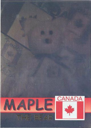 Ty Beanie Babies Bboc Card - Series 2 Rare Bear (gold) - Maple The Bear - Nm/m
