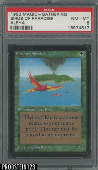 1993 Magic The Gathering Mtg Alpha Birds Of Paradise Psa 8 Nm - Mt