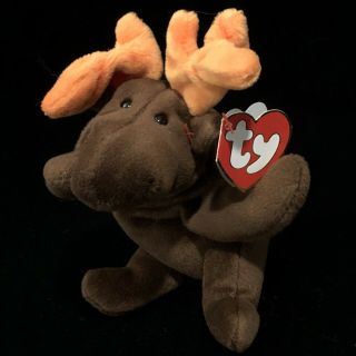 Ty Beanie Baby - Chocolate The Moose - 3rd/1st Gen