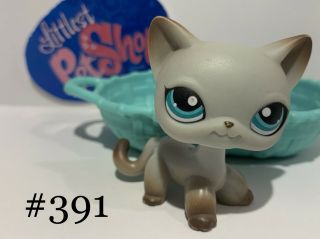 Authentic Littlest Pet Shop - Hasbro Lps - Shorthair Egyptian Cat 391