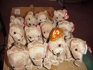 (1) Dozen Ty Pecan Bears Birthday Apr 15,  1999 Mwmt