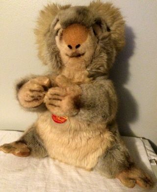 Steiff 16 Inch Molly Koala Bear 0331/40 4