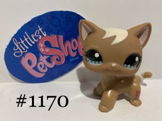 Authentic Littlest Pet Shop - Hasbro Lps - Shorthair Cat 1170