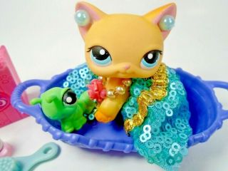 Littlest Pet Shop Short Hair Cat 339 " Brooke Hayes " With Accessories