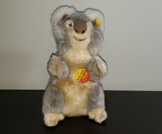 Steiff Molly Koala 0331/22 Button & Label Mohair Rare Toys Vintage