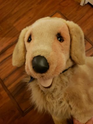 Huge 38 Inch Douglas Golden Retriever Plush Dog Stuffed Animal Cuddle Posable