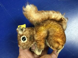 Antique Vintage Miniature Steiff Squirrel Perri 3.  5 " W/id Pristine
