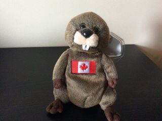 Ty Beanie Baby “timbers” The Beaver - Canadian Exclusive - Mwmt 2007