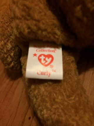 Ty Beanie baby Curly,  RARE,  1993 with tag errors.  Black eyes with brown nose. 3