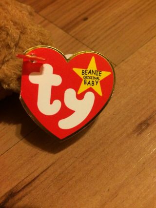 Ty Beanie baby Curly,  RARE,  1993 with tag errors.  Black eyes with brown nose. 4
