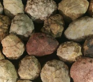 10 Lbs Break Your Own Geodes Whole Natural Uncut Unbroken Closed Gems