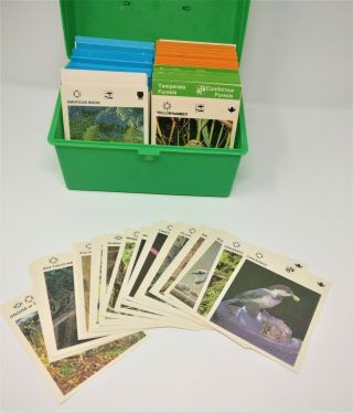 Illustrated Wildlife Treasury 600,  Learning Animal Cards,  Insects,  Fish,  Reptile 4