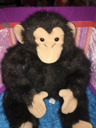 Euc - 20” Folktails Folkmanis Chimpanzee Full Body Puppet Plush Monkey Chimp Ape