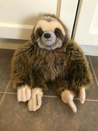 Costa Rica Sloth Plush Toy