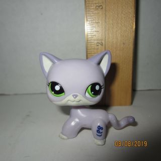 2094 Purple Short Hair Cat Littlest Pet Shop Authentic Hasbro
