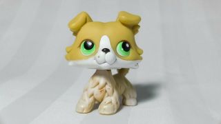Littlest Pet Shop 272 Authentic Collie Dog Lps Yellow White,  Green Eyes Rare
