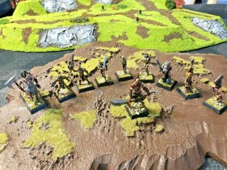 Confrontation Rackham Sessair Kelts Warband 2: 10 Minis Professionally Painted