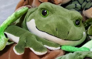 Gund Filmore Frog Plush Large 24 Inch Stuffed Animal