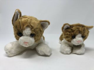 Miyoni By Aurora Kitty Cats Plush Stuffed (2)