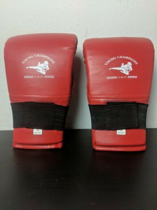 Young Champions U.  S.  A Boxing Gloves Medium
