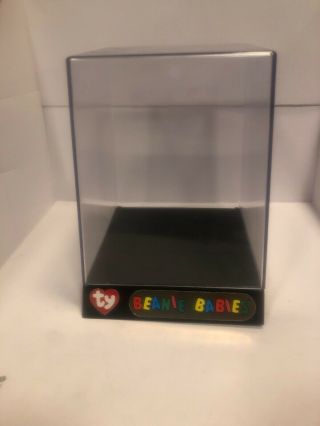 Ty Beanie Baby Bear Clubby Official Club 1998 Display Case