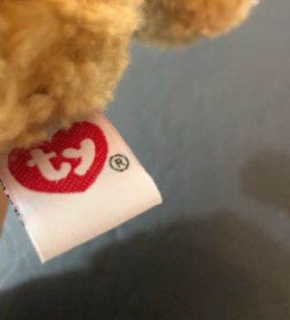 Ty Beanie Baby Vintage Curly 1992 Tush And Hang Tag 12 