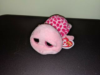 Ty Beanie Boos 6 " Shelby Pink Sea Turtle Plush 2013 (sparkly Eyes)