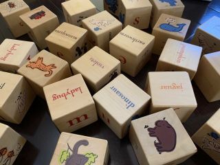 Pottery Barn Kids ALPHABET BLOCKS 26 Wooden Cubes ABCs Animal Pictures Words 3