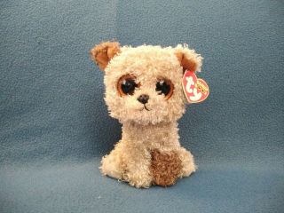 Ty Beanie Boos Rootbeer The Dog 6 Inch Glitter Sparkle Eyes With Tags
