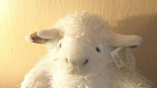 Colonial Williamsburg Plush Leicester Lamb Sheep Mary Meyer ' 97 w/Tags 4