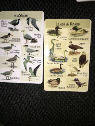 Birdsong Identiflyer Model lF03 Yardbirds 8 cards & earbuds and case Guide Book 3