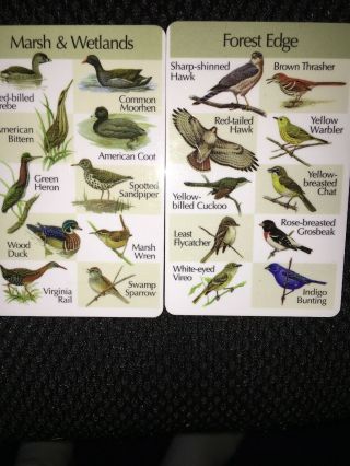 Birdsong Identiflyer Model lF03 Yardbirds 8 cards & earbuds and case Guide Book 4