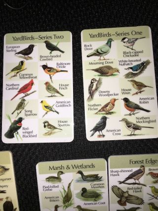 Birdsong Identiflyer Model lF03 Yardbirds 8 cards & earbuds and case Guide Book 6
