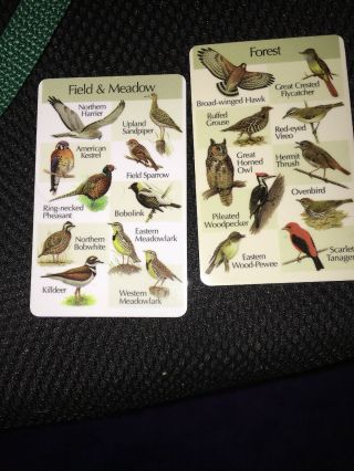 Birdsong Identiflyer Model lF03 Yardbirds 8 cards & earbuds and case Guide Book 7