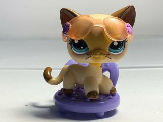 Hasbro Littlest Pet Shop Lps Tan Brown Heart Face Short Hair Cat Authentic 3573