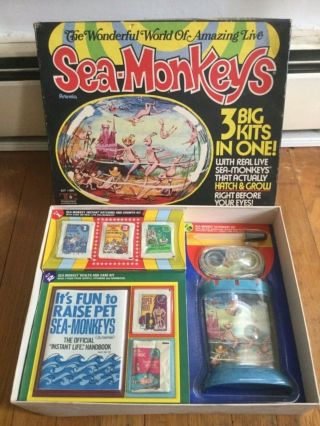 Vintage 1972 Wonderful World Of Live Sea - Monkeys 3 Kits Artemia 800