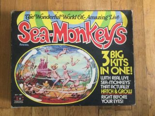 Vintage 1972 Wonderful World Of Live Sea - Monkeys 3 Kits Artemia 800 2