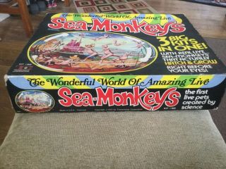 Vintage 1972 Wonderful World Of Live Sea - Monkeys 3 Kits Artemia 800 6