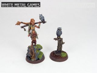 Reaper Druid And Familiar 60147 Pewter Rpg Fantasy Painted Commission Pathfinder