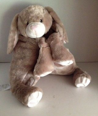 Little Miracles Bunny Pillow Snuggle Me Pet Brown Pink Costco Plush No Blanket