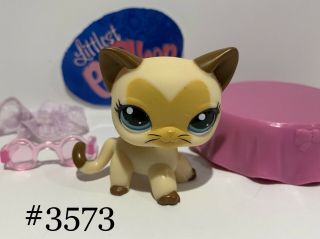 Authentic Littlest Pet Shop - Hasbro Lps - Siamese Cat 3573 W/ Accessories