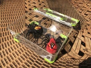 2 Wild Pets Spiders And A Habitat Playset Euc