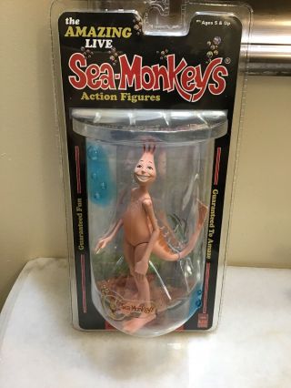 Dad The Live Sea Monkey Never Opend Instant Guaranteed Fun 2004 Majestic